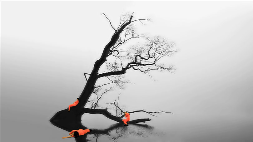 Quynh Dong, 〈Late Autumn〉, Single channel video, 11min 22sec, 2015