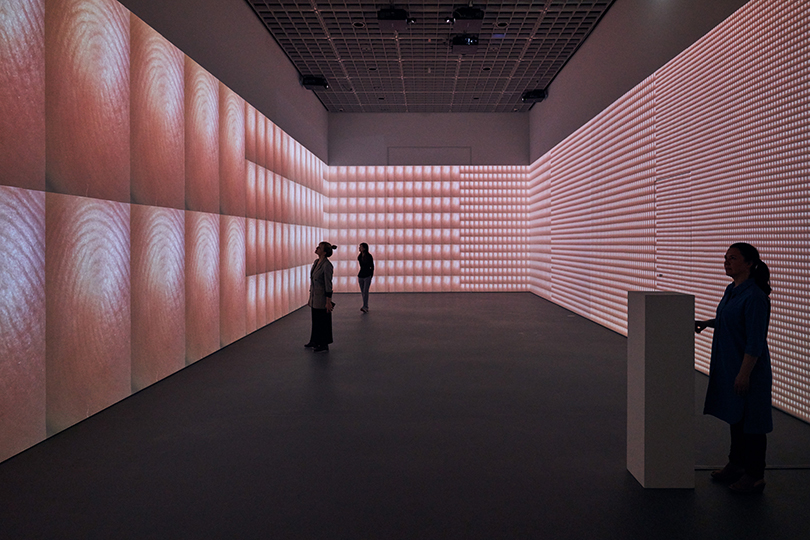 라파엘 로자노헤머(Rafael Lozano-Hemmer), 〈펄스 인덱스(Pulse Index)〉, 2010. 프로젝터, 컴퓨터, 전자 현미경, 산업용 카메라, 메탈 박스, 자체 제작 소프트웨어, 델파이 프로그래밍, 가변 크기. Ⓒ아모레퍼시픽미술관