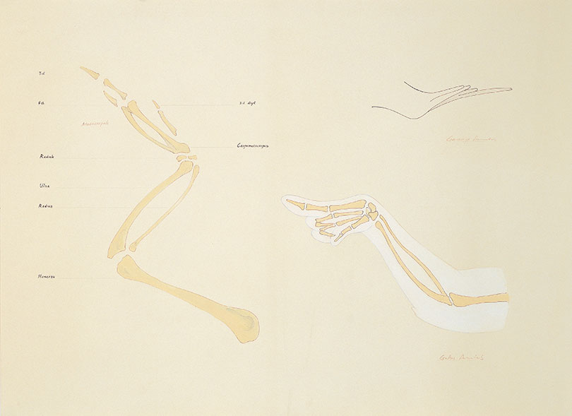 이형구, 〈A05〉, 2005. 연필, 잉크, 마커, 아크릴, 79×109cm. ⓒ서울시립 북서울미술관