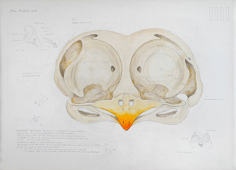이형구, 〈A15〉, 2008. 연필, 아크릴. 79×109cm. ⓒ서울시립 북서울미술관