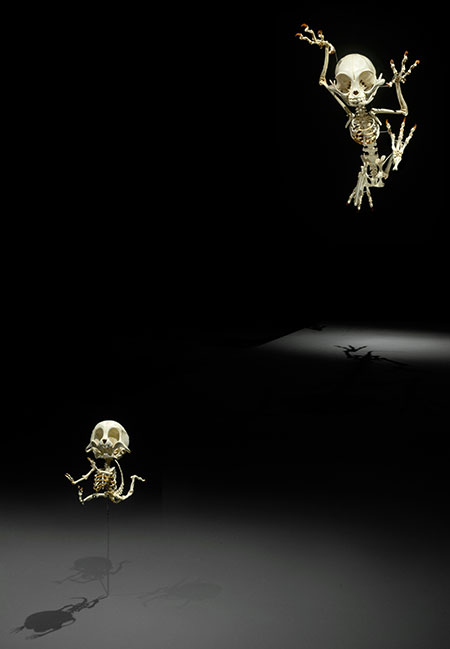이형구, 〈펠리스 카투스 아니마투스 & 무스 아니마투스(Felis Catus Animatus & Mus Animatus)〉, 2006-2007. 레진, 알루미늄 스틱, 스테인리스 스틸 와이어, 스프링, 오일 페인트, 88×55×92cm&15×8×15cm. ⓒ서울시립 북서울미술관