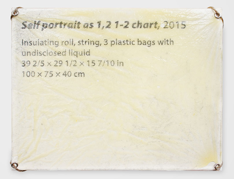 루오 저신(Luo Jr-shin), 〈1, 2, 1-2 차트로서 자화상〉, 2018. 캔버스, 탄소가루, 레진, 플라스틱 필름, 금속부, 끈, 31.5x41cm. ⓒ국립현대미술관