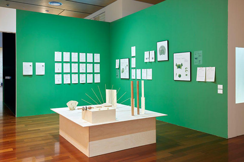 아트 레이버 〈자라이 이슬 해먹 카페〉 혼합매체 가변크기 2015~현재