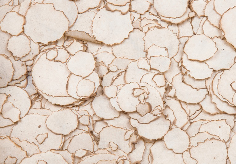 Minjung Kim uses candles to burn off the corners of Hanji or makes holes on Hanji with incense, making art with the burnt traces.