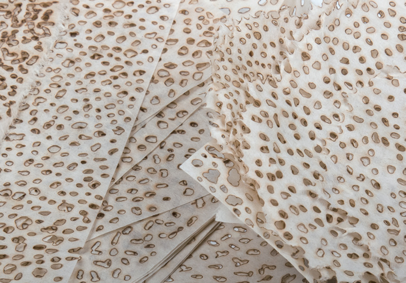 Minjung Kim uses candles to burn off the corners of Hanji or makes holes on Hanji with incense, making art with the burnt traces.