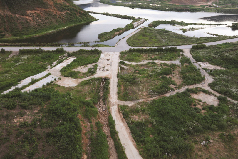 Image from the Vine Chronicle project (2016); provided by the artists.