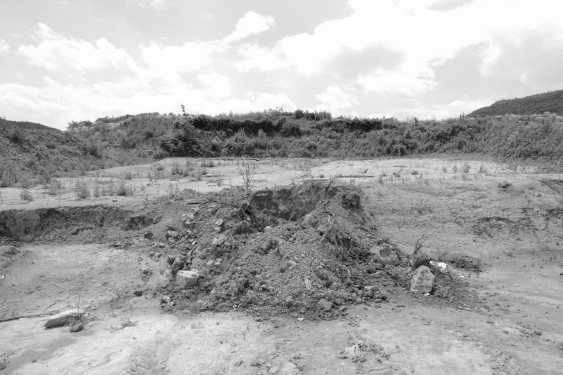 Image from the Vine Chronicle project (2016)