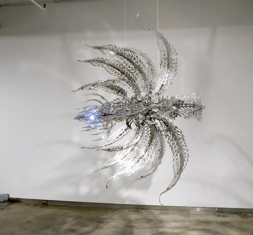 최우람_Varietal Urbanus Female_2007