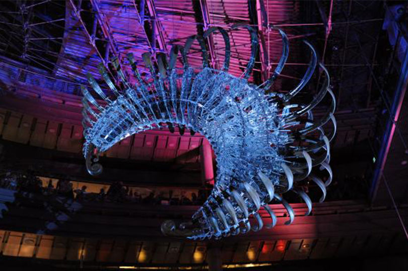 최우람_Opertus Lunula Umbra (Hidden Shadow of Moon)_2008