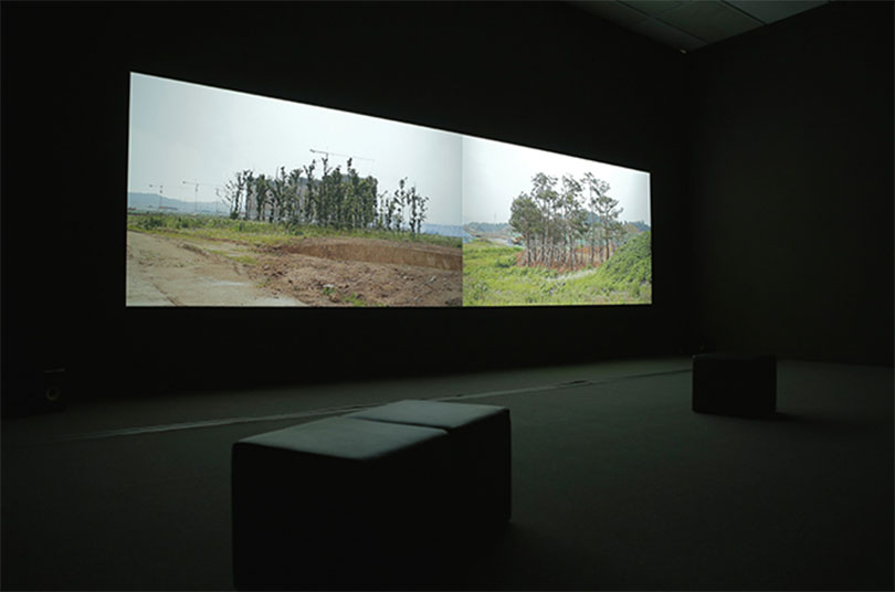 믹스라이스, ‘덩굴연대기’, 2016, 2채널 HD 영상, 8분 46초. 사진제공: 국립현대미술관.