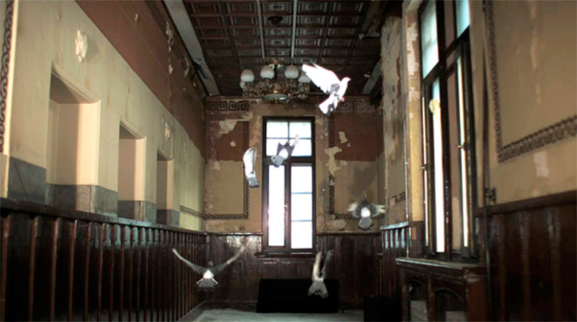 함양아_새의 시선_2008_3채널 비디오 설치