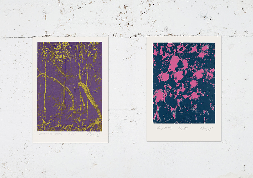 토마스 밤베이(Thomas Bambey)  2011 Silkscreen print on paper 70×50cm, Signed, dated and numbered by artist Edition of 30+5 ea Grant Holder GRANTS 08/09