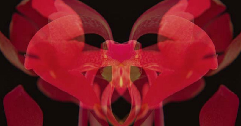 남화연, 〈반도의 무희〉, 2019. 멀티채널 비디오 설치, 가변크기.