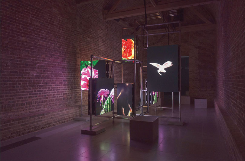 Hito Steyerl 〈Power Plants〉 Installation view, 11 April–6 May 2019 Serpentine Galleries AR Application Design by Ayham Ghraowi, Developed by Ivaylo Getov, Luxloop, 3D data visualisation by United Futures Courtesy of the Artist, Andrew Kreps Gallery (New York) and Esther Schipper Gallery(Berlin) Photograph © 2019 readsreads.info