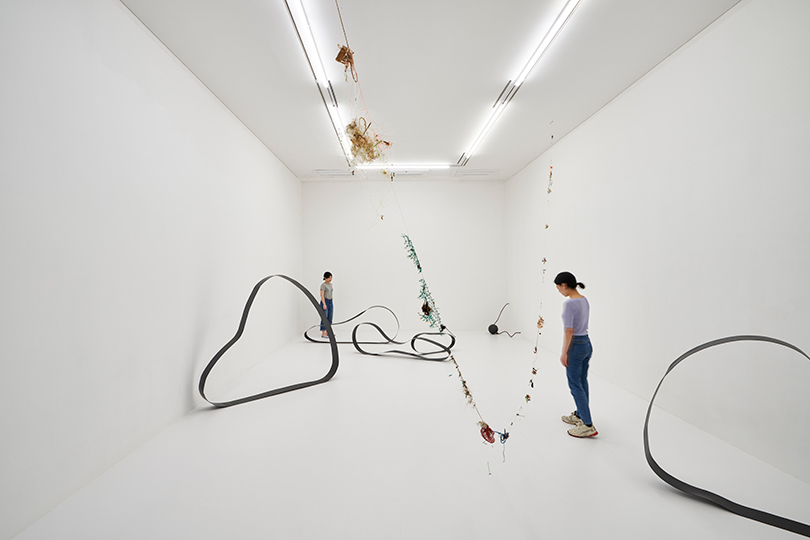 정소영 개인전〈해삼, 망간 그리고 귀〉전경