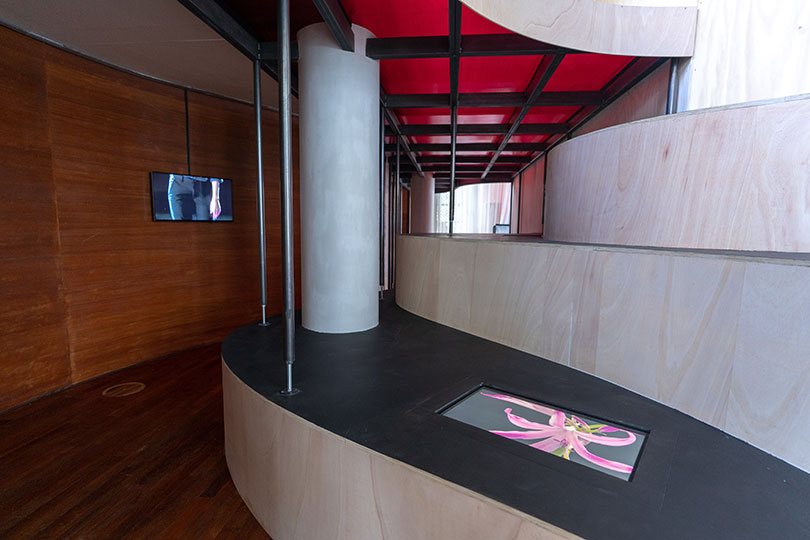 한국관에 설치된 남화연 작가의 〈반도의 무희〉와 〈이태리의 정원〉. ⓒKorean Pavilion, Venice Biennale 2019.