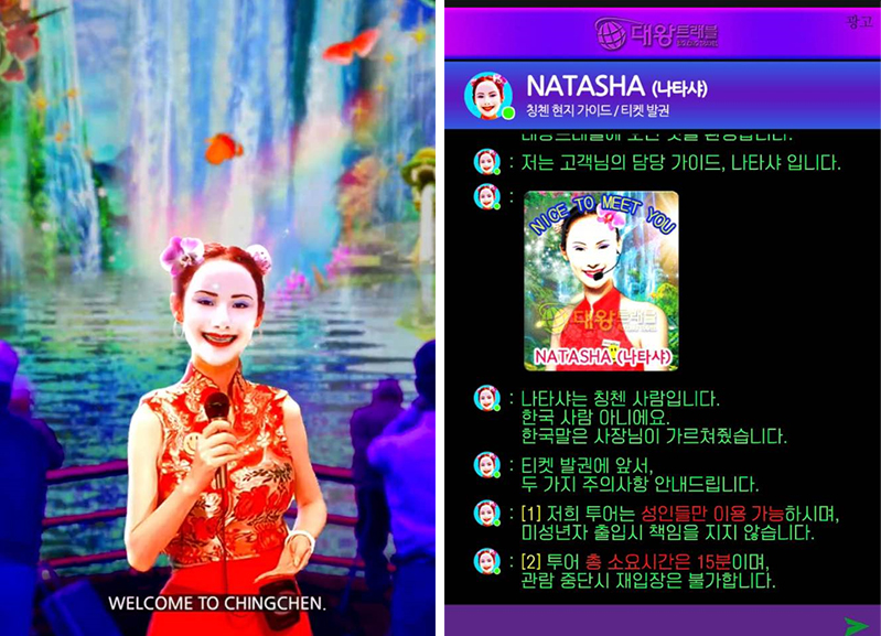 Sungsil Ryu, Big King Travel 2020, 2020. (www.bigkingtravel.com), Image provided by the artist. 