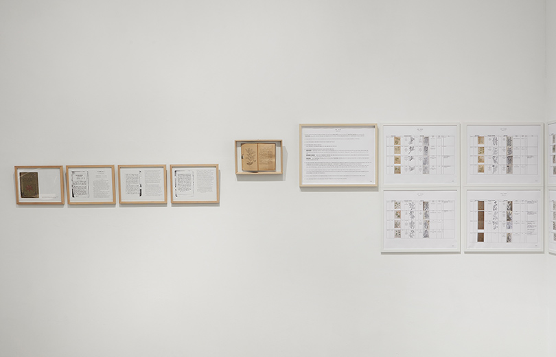 Note to 『Illustrations of Joseon Plants: A Selection of Toxic Plants』, 2021, detail. Photo: Yeonkeun Choi.