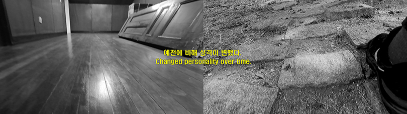 〈이족보행을 위한 몇 가지 전제들〉, 2021, 작품 스틸컷. 이미지 제공: 이은희