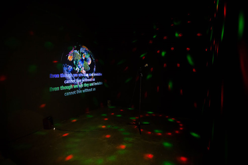 Plankton and Bitplankton, 2019-2020, 2-channel video, 9 min 10 sec, color, sound, inflatable chair, RGB light. Image courtesy of the artist. 