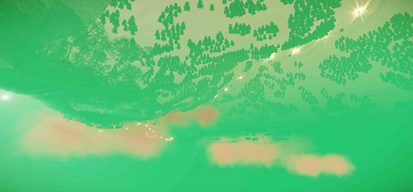 Hayoun Kwon - The Bird Lady