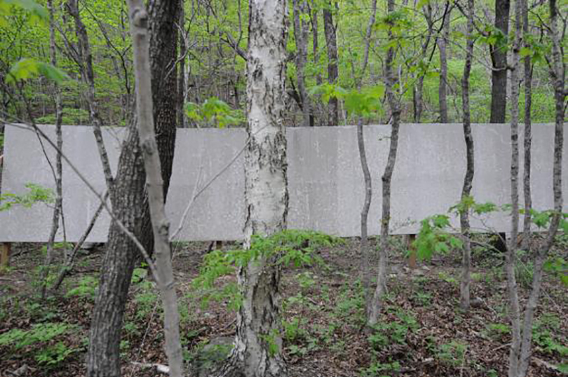 Kim Atta_The Project Drawing of Nature -deep forest in Korea-1_currently in progress