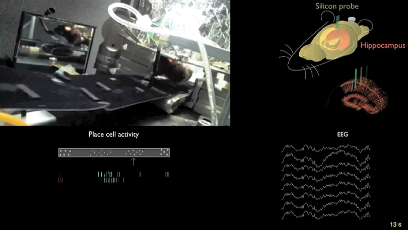 Yang Ah Ham, 〈Nonsense Factory - Blue Print Room for a Future Factory〉, 2013-2017. Color, sound, 3 minutes 30 seconds. Image provided by Monthly Art