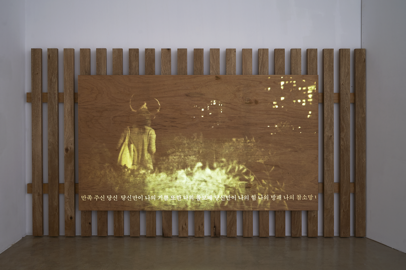 〈Wetland, Greencard, Trio〉, Installation view of Courage and Poem at ONE AND J. Gallery, Seoul, Korea, 2019. Image Courtesy Artist