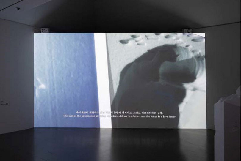 <〈유어 딜리버리〉 단채널 영상, 컬러, 사운드 7분19초 2019, 사진: 57스튜디오, 《젊은모색 2019: 액체 유리 바다》 (2019.6.20~2019.9.15 국립현대미술관 과천)에서 선보인 작품 설치광경. 사진제공 월간미술 